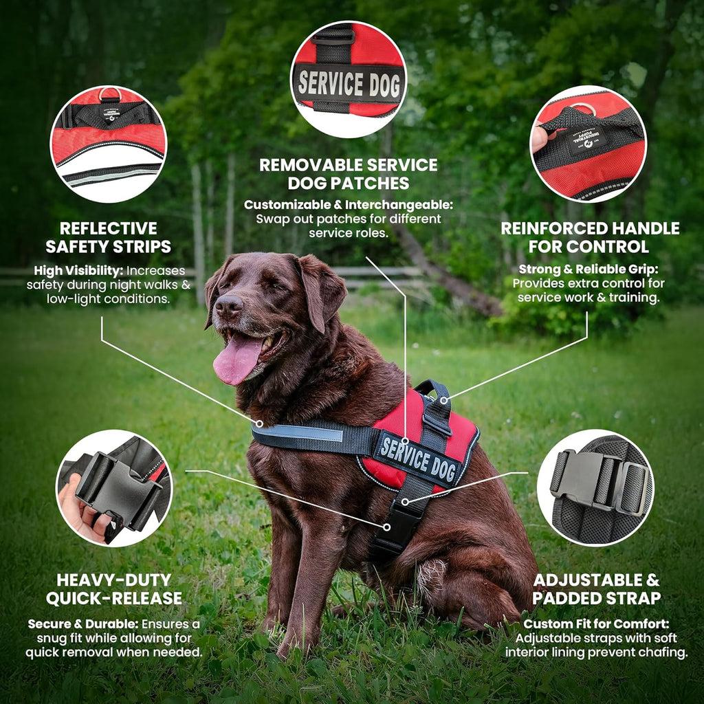 Service Dog Vest with Hook and Loop Straps & Matching Service Dog Leash Set - Harnesses from XXS to XXL - Harness Features Reflective Patch and Comfortable Mesh Design
